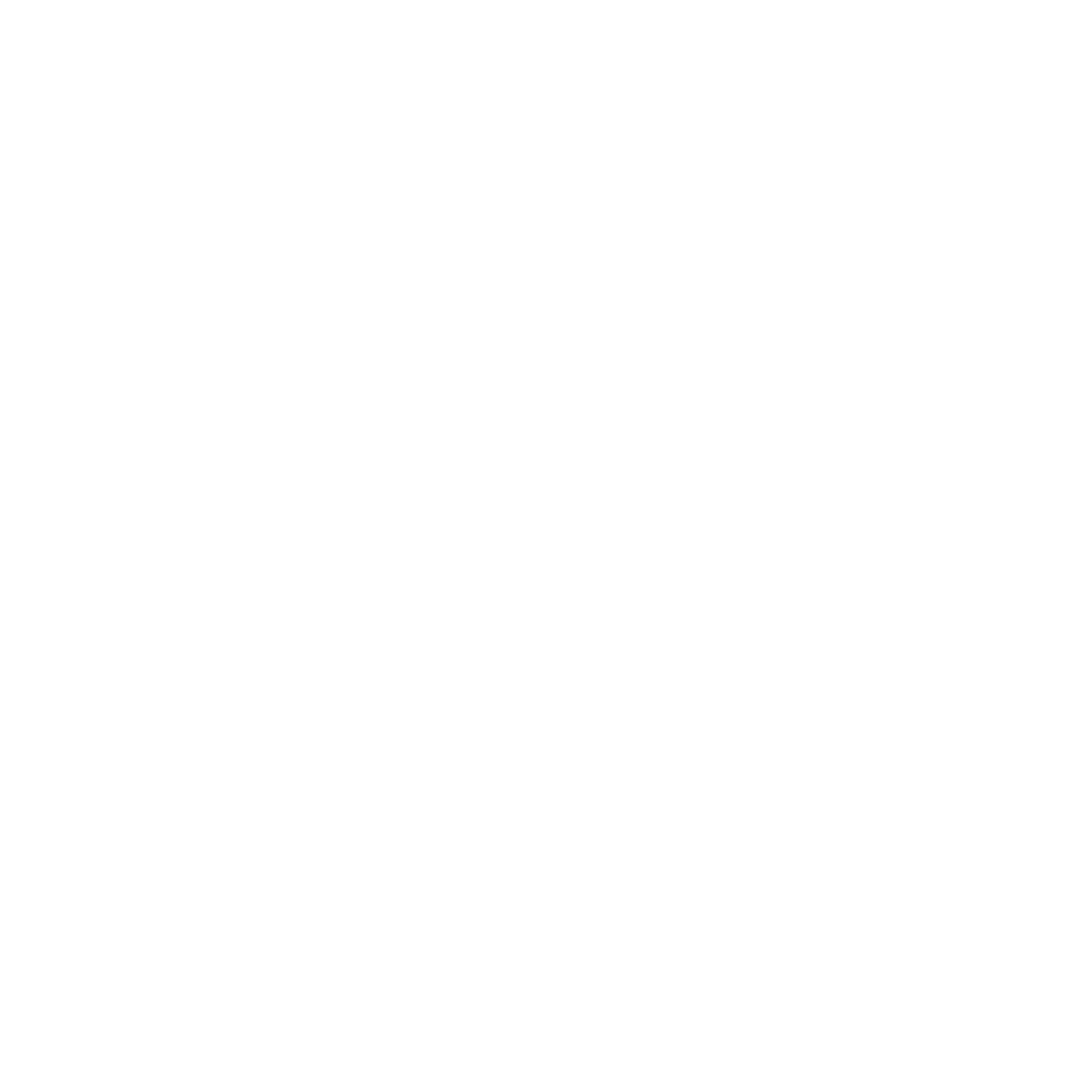 Domoo Logo Blanc